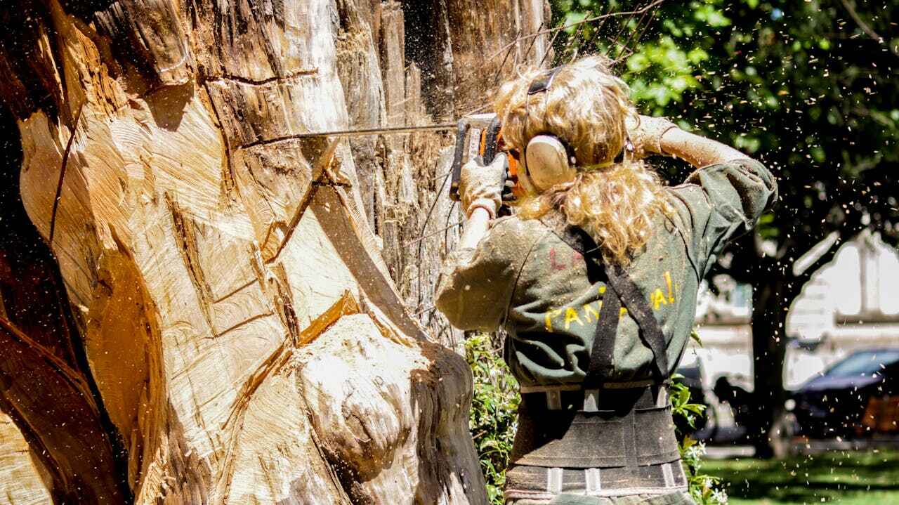 Tree Branch Trimming in West Samoset, FL